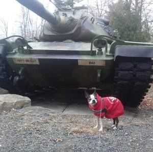 Meet your Posher, Chuck